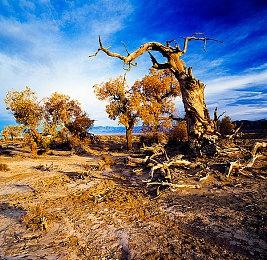 发售不到两周 《消逝的光芒2》PC销量破200万 