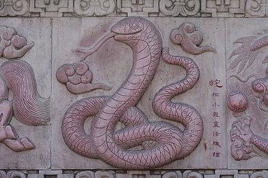 全新四人合作射击游戏《Rogue Point》首次亮相实机预告片